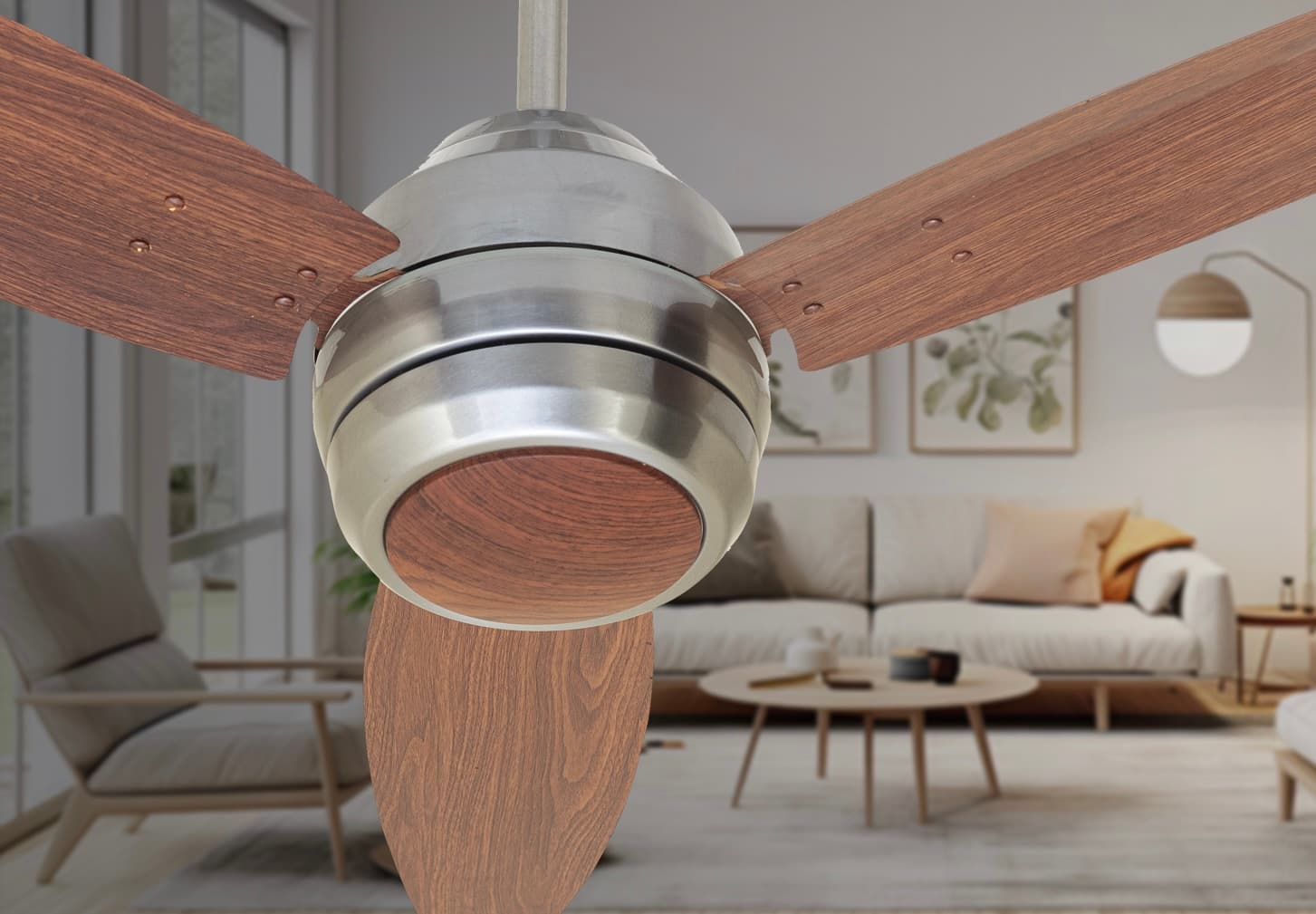 Ceiling Fans